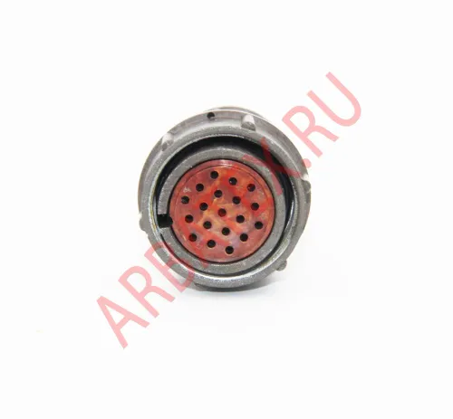 2РМ24КПЭ19Г1В1 Разъемы 2РМ, 2РМТ, 2РМГ, 2РМДТ, ОНЦ-РГ фото фото 2